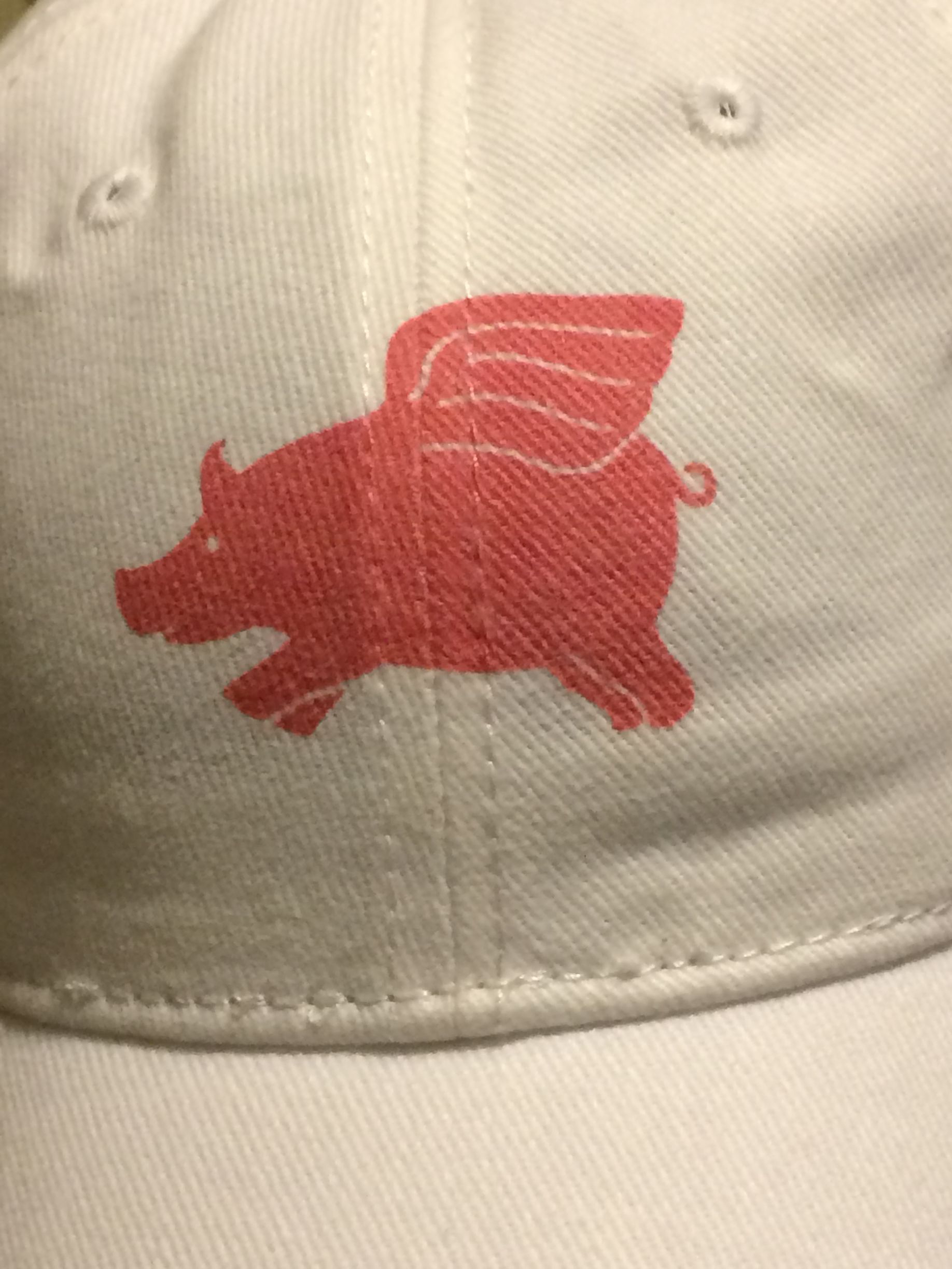 A red, screen-printed icon of a flying pig on a white baseball cap.