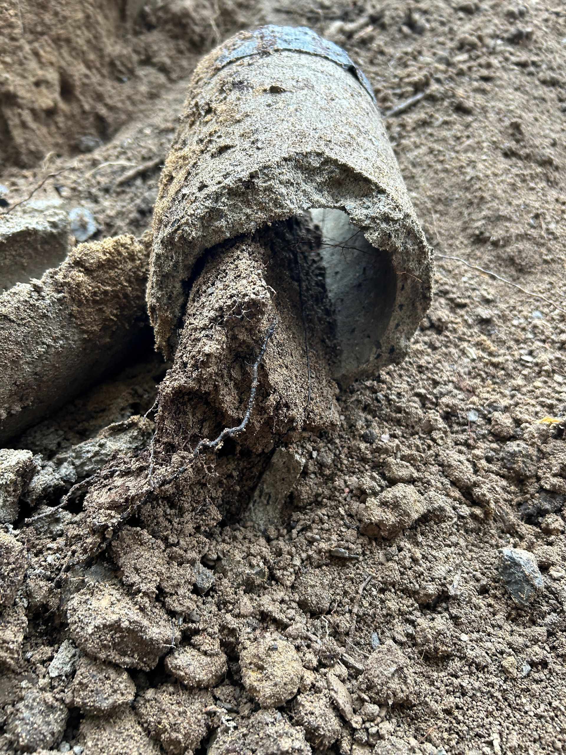 Un tuyau est posé dans la terre sur le sol.