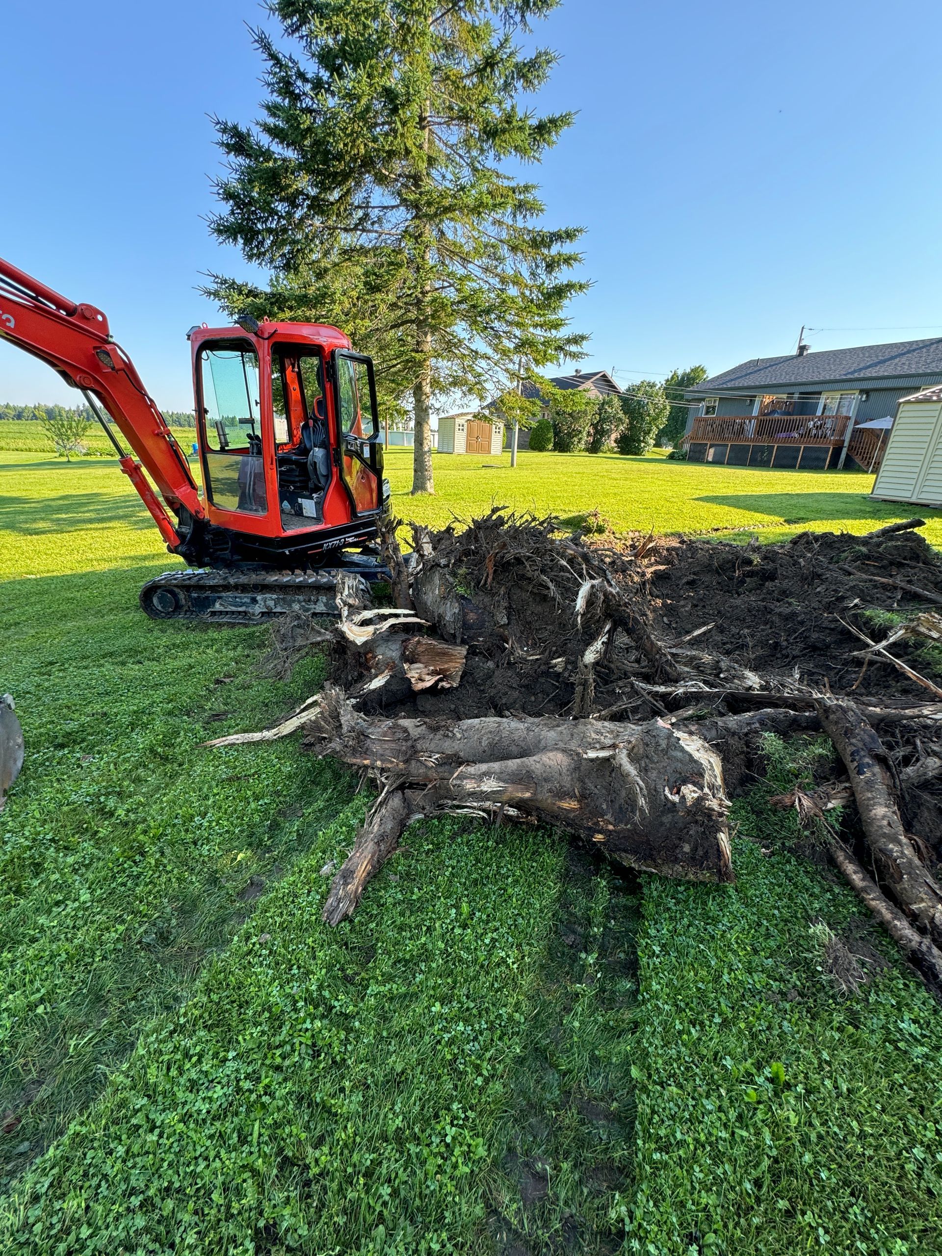 Une excavatrice rouge creuse un trou dans un champ herbeux.