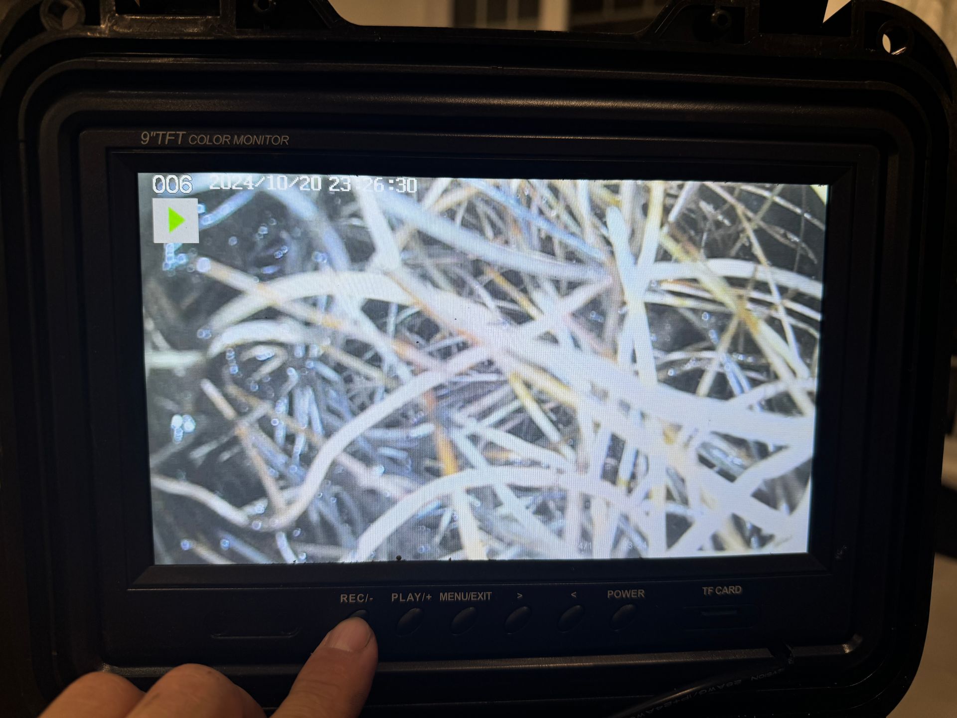 Une personne pointe du doigt un écran avec l'image d'une plante dessus