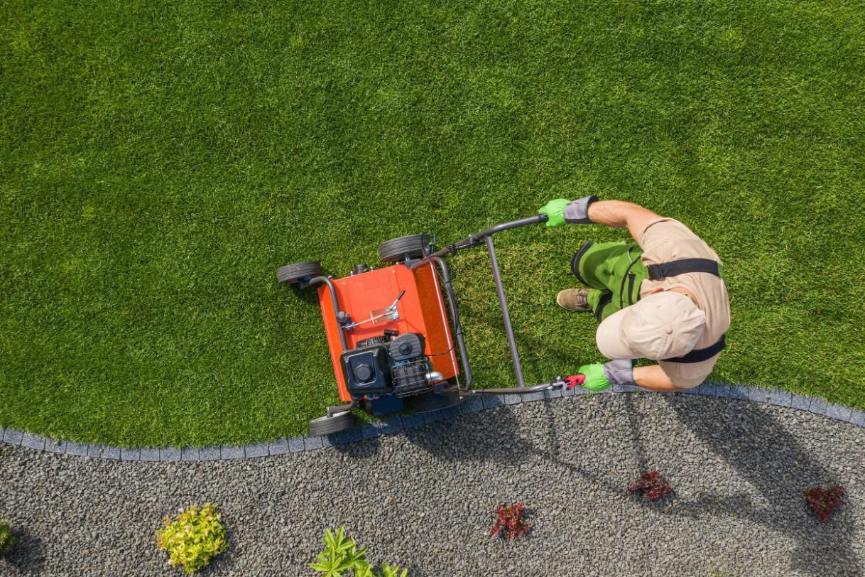 Person using a lawn aerator on a green lawn next to a gravel border.