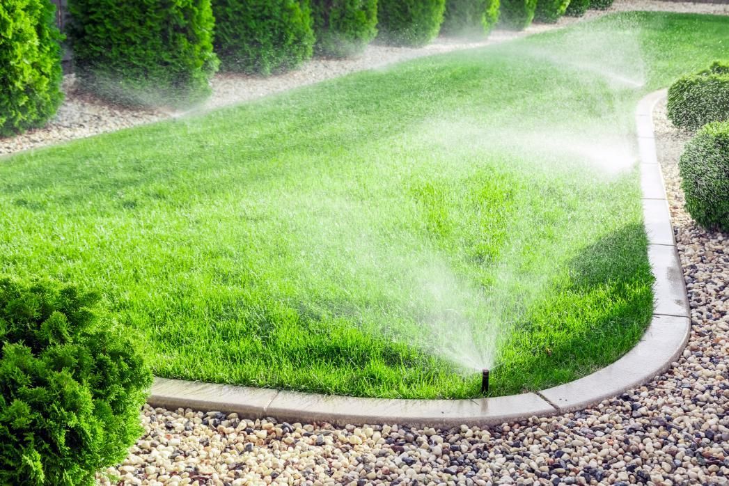 Lawn sprinkler spraying water on a green lawn surrounded by shrubs and a stone border.