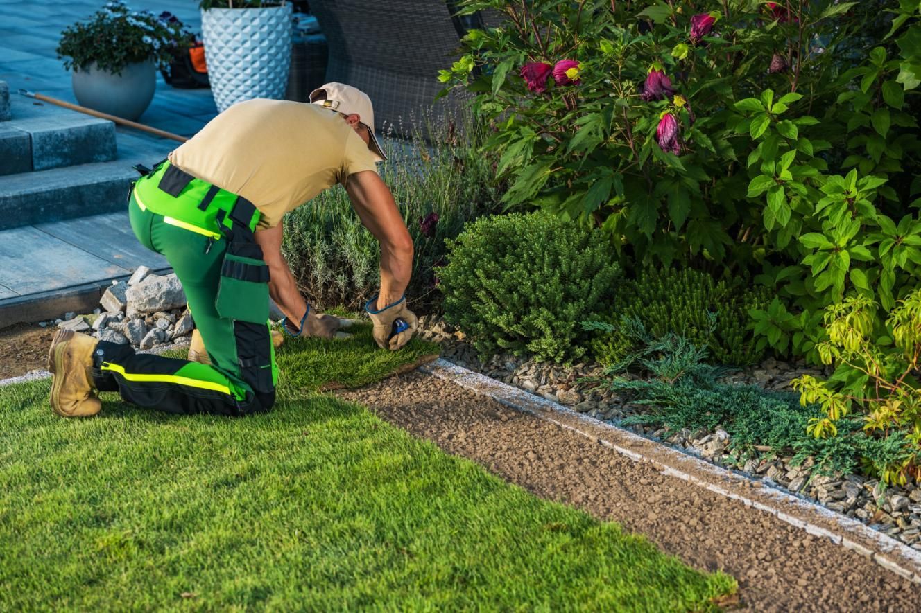 A person kneeling, laying sod in a garden bed next to green grass and plants.