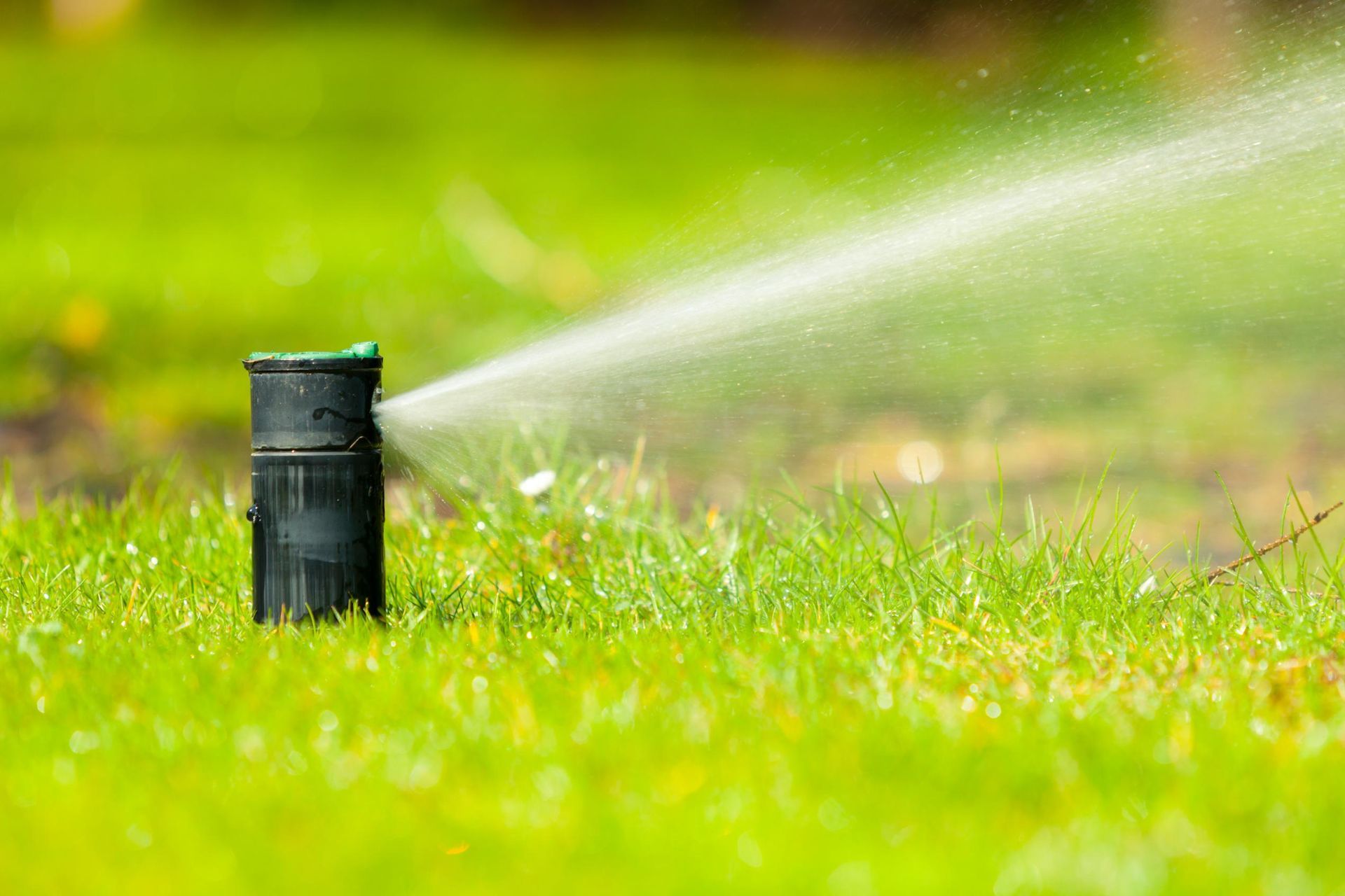 Sprinkler sprays water over green grass in a lawn.