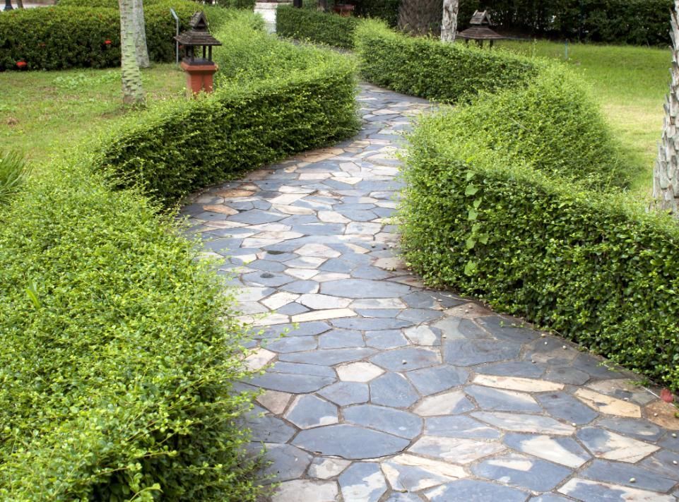 Stone path winding through manicured hedges in a garden.