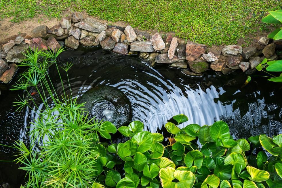 Small pond with flowing water, bordered by rocks and grass.