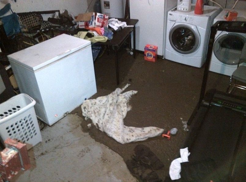 sewer overflow in basement