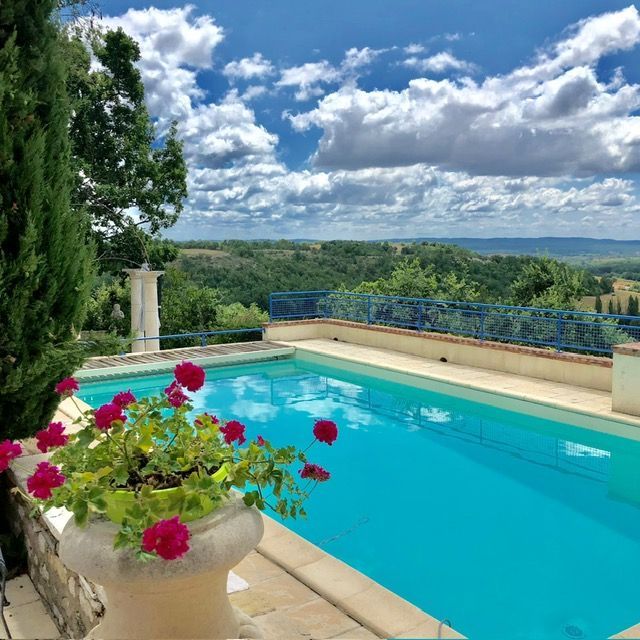 Blue pool with pink flowers in a pot, overlooking a scenic green valley under a cloudy sky