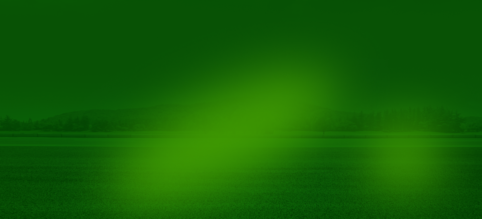 A green-tinted landscape featuring a flat, grassy field and a low, blurry horizon line. | Maynard's Auto Repair Service