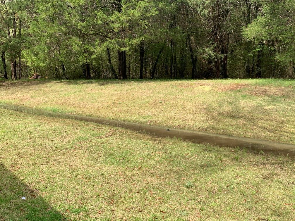 a lush green field with trees in the background