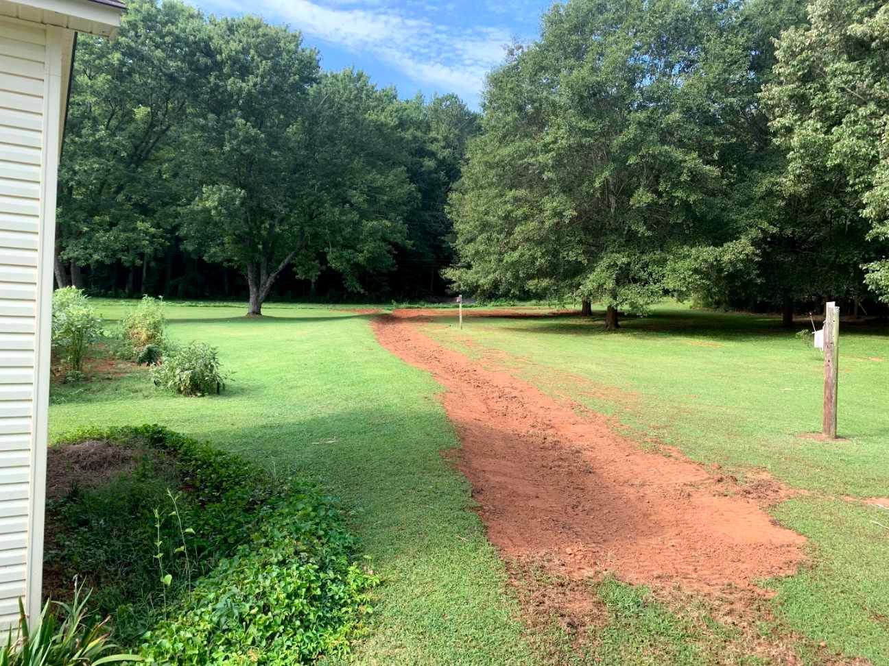 a dirt road going through a lush green field