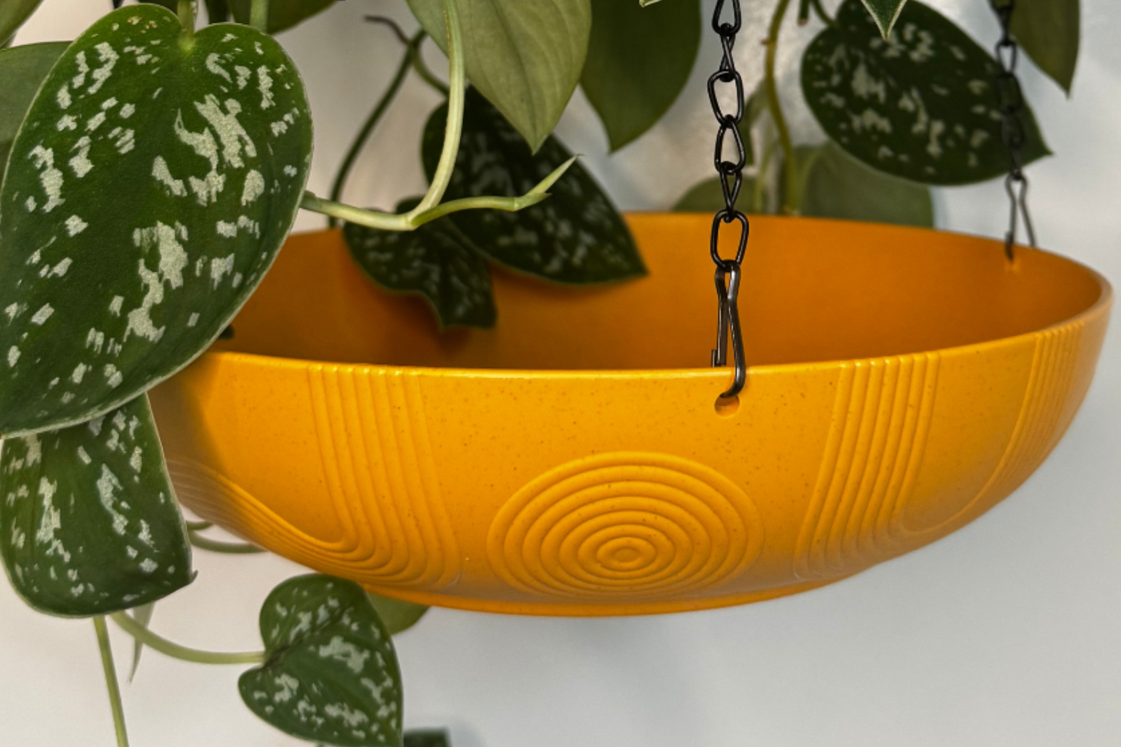 Silhouette of a person in a suit looking out a large window at buildings during sunset.