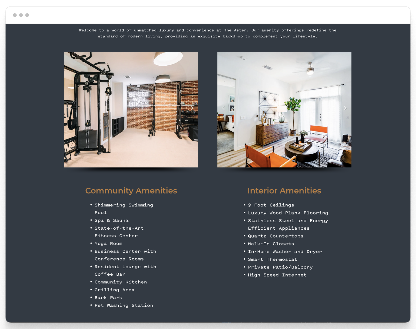 Amenities Preview of Aster Property Website Theme