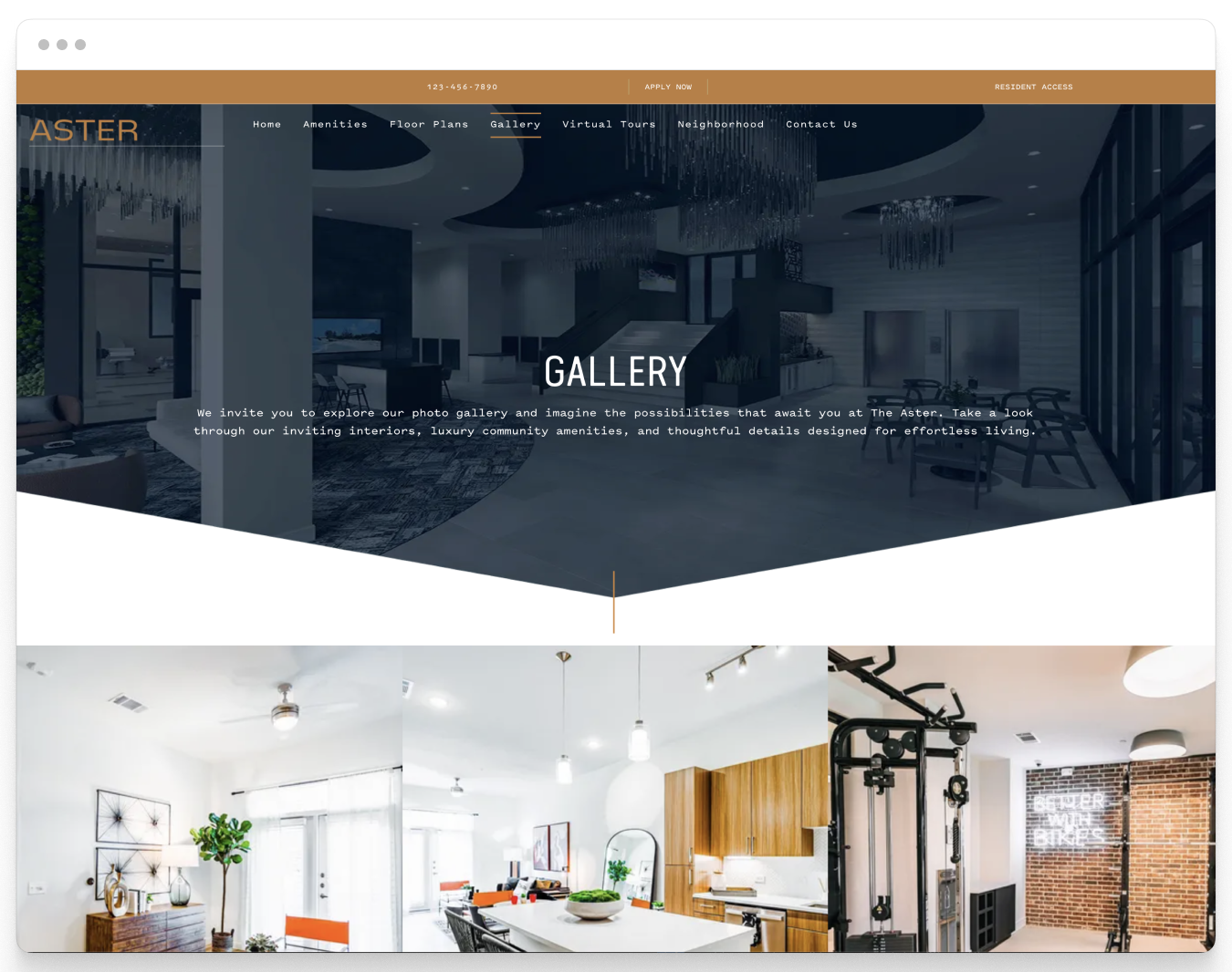 Gallery Page Preview of Aster Property Website Theme