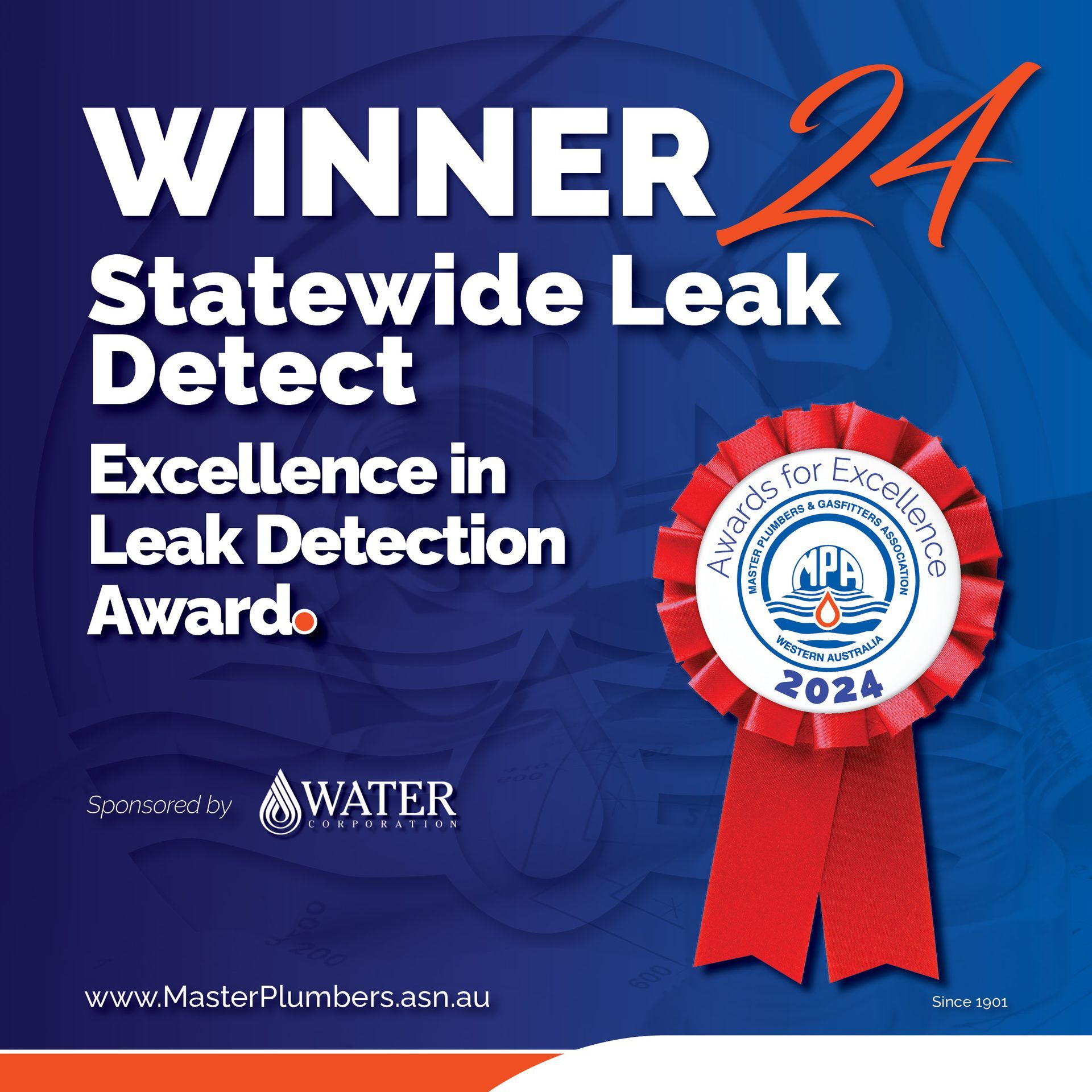 Winner 24 statewide leak detect excellence in leak detection award