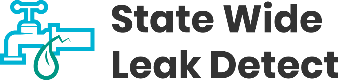 State Wide Leak Detect logo