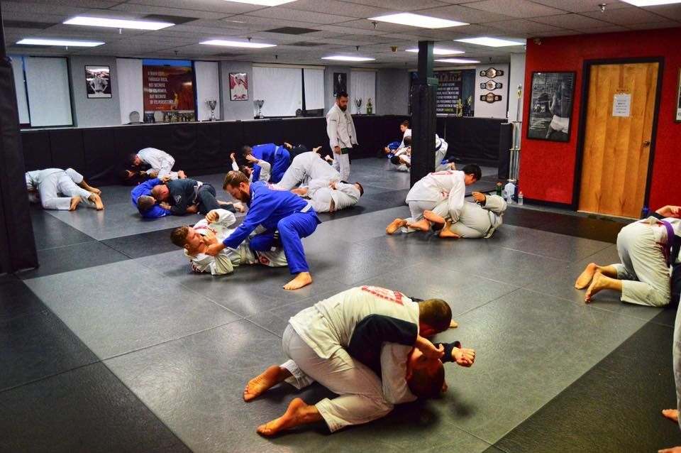 A group of people are practicing martial arts in a gym.