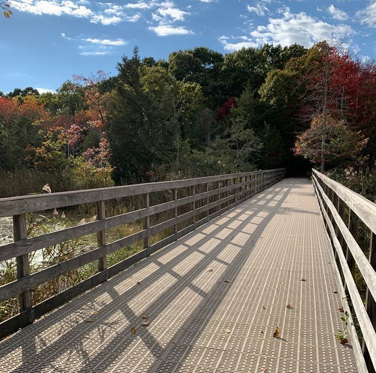 Scenic wooden bridge along Shoreline Greenway Trail