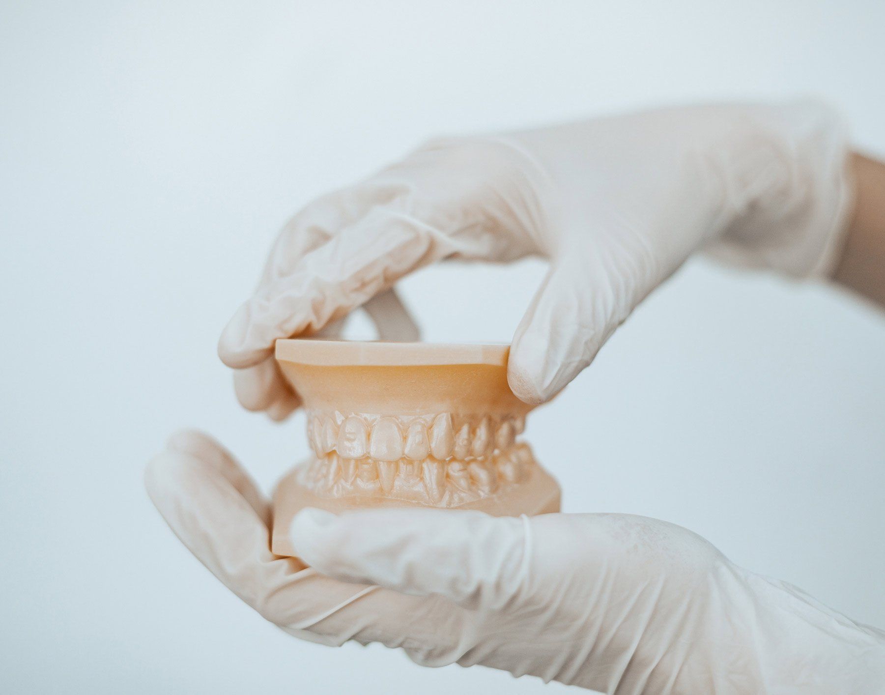 Dental Teeth Model — Anchorage, AK — Chinook Family Dentistry