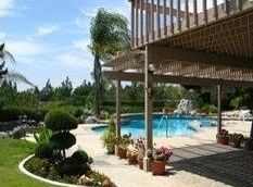 A large swimming pool with a pergola over it