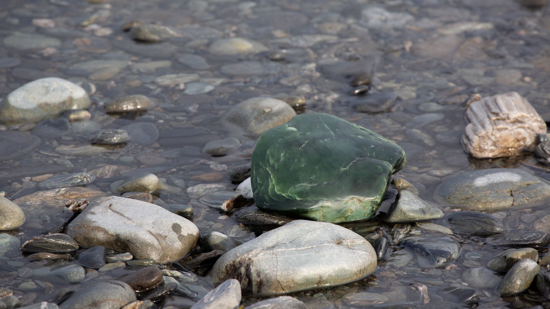 Pounamu in the water, West Coast of NZ