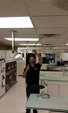 pringle duct cleaning