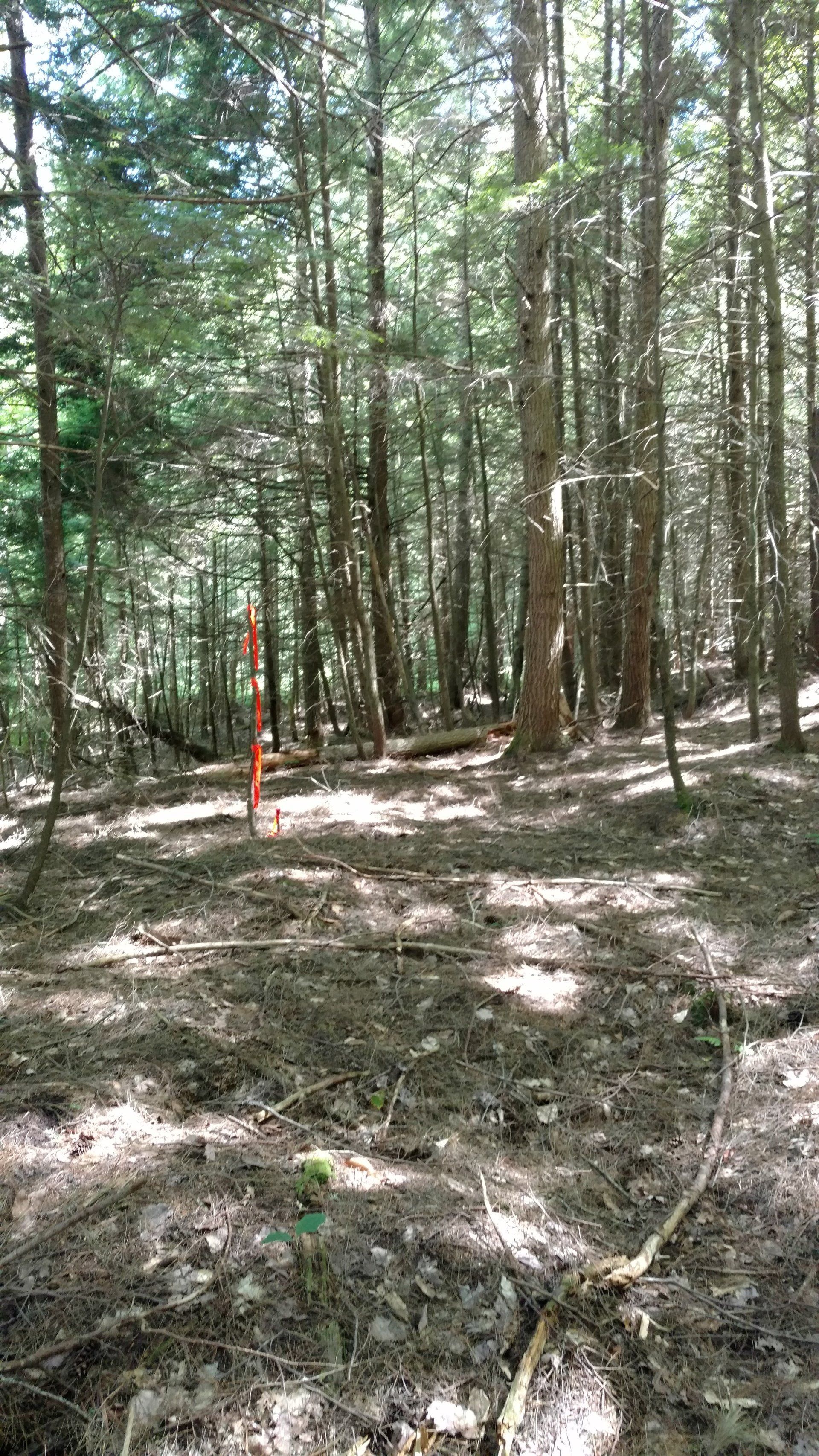 Land Surveying Gilford, NH Bryan L. Bailey Associates, Inc.