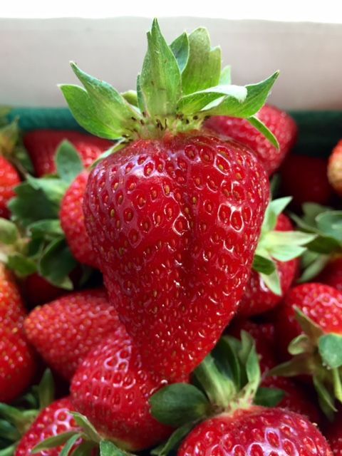 Close-up of a bright red strawberry with green leafy top, surrounded by other strawberries in a basket.