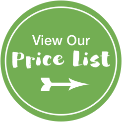 Green circle button with 