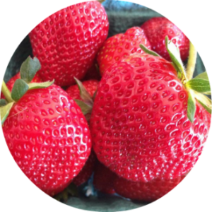 Close-up of bright red strawberries with green leaves, in a blue container.