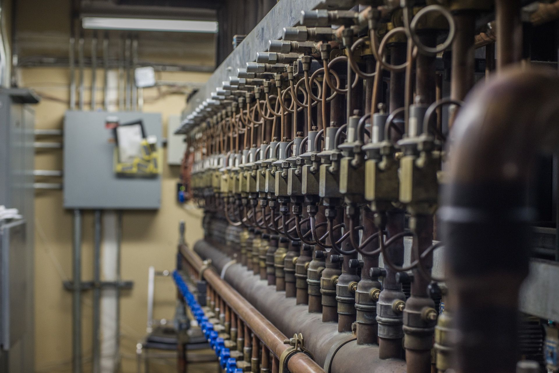 Row of copper pipes and valves in a utility room, with a gray electrical box on the wall.