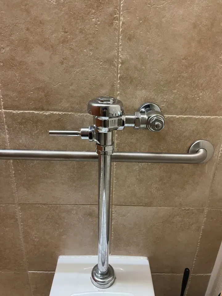 Chrome flush valve on a white toilet. Tan tiled wall behind. A metal grab bar is present.