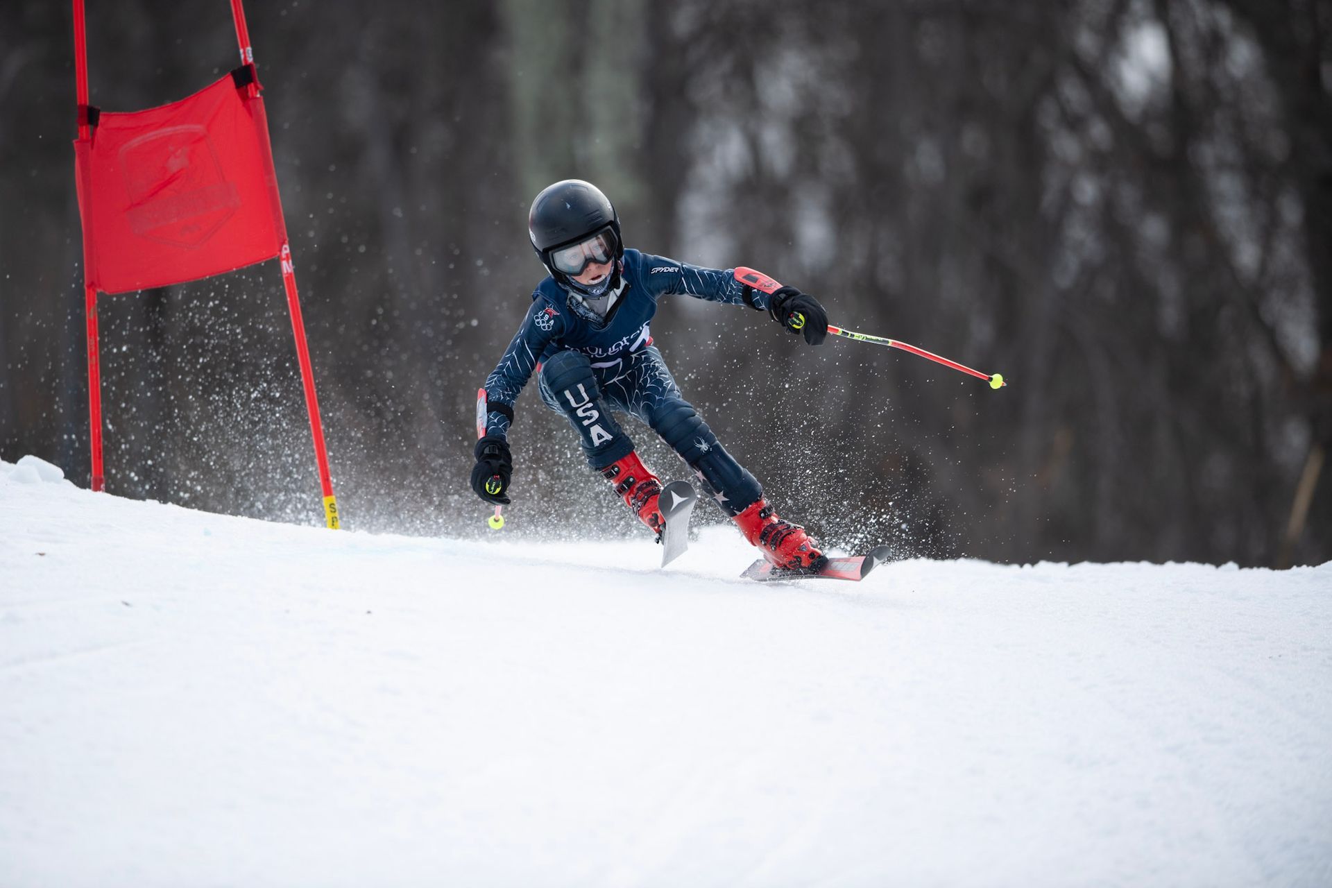 Skier racing downhill, navigating a gate, spraying snow.