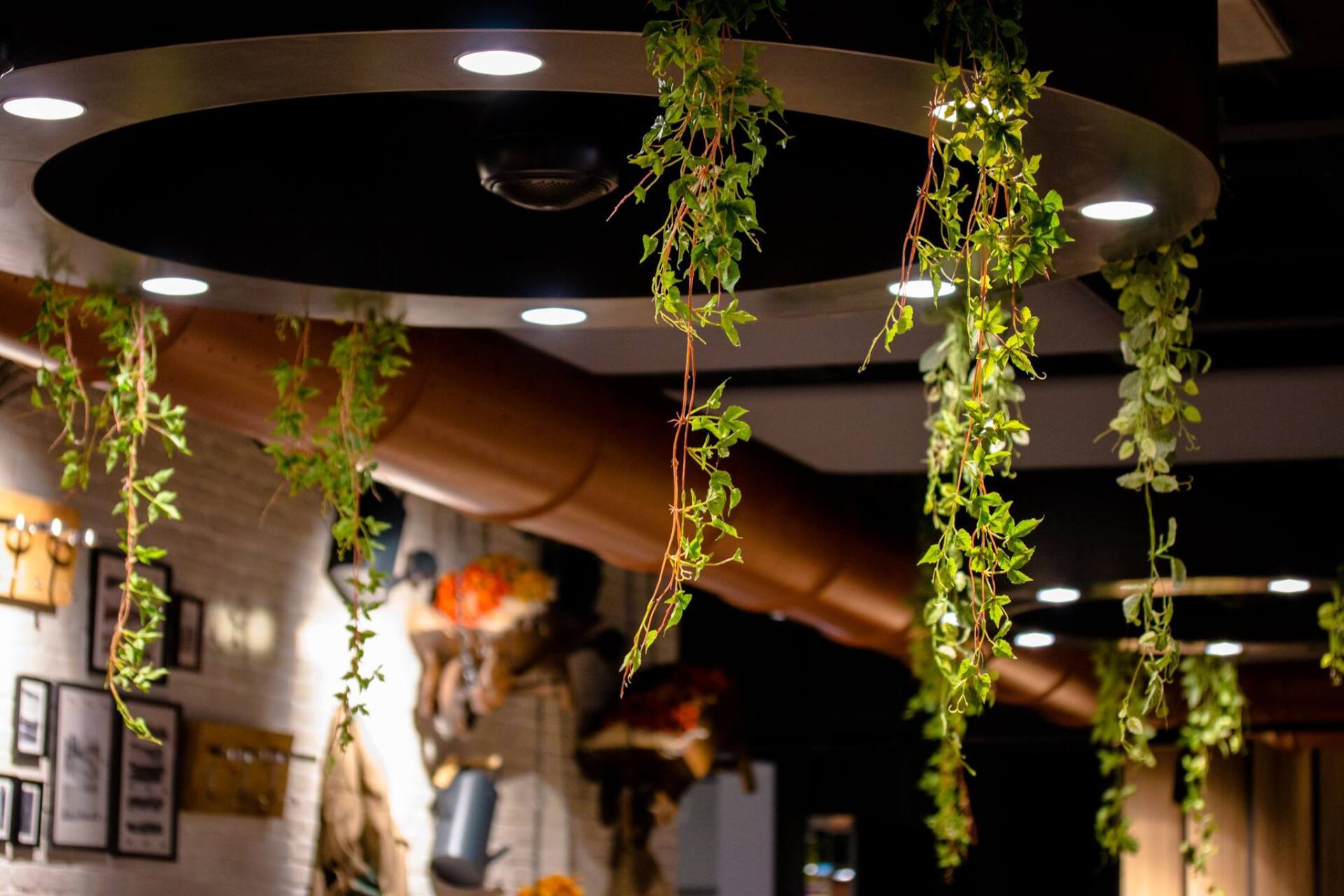 Lampadario rotondo da soffitto con vegetazione sospesa e luci da incasso, interno di un ristorante.