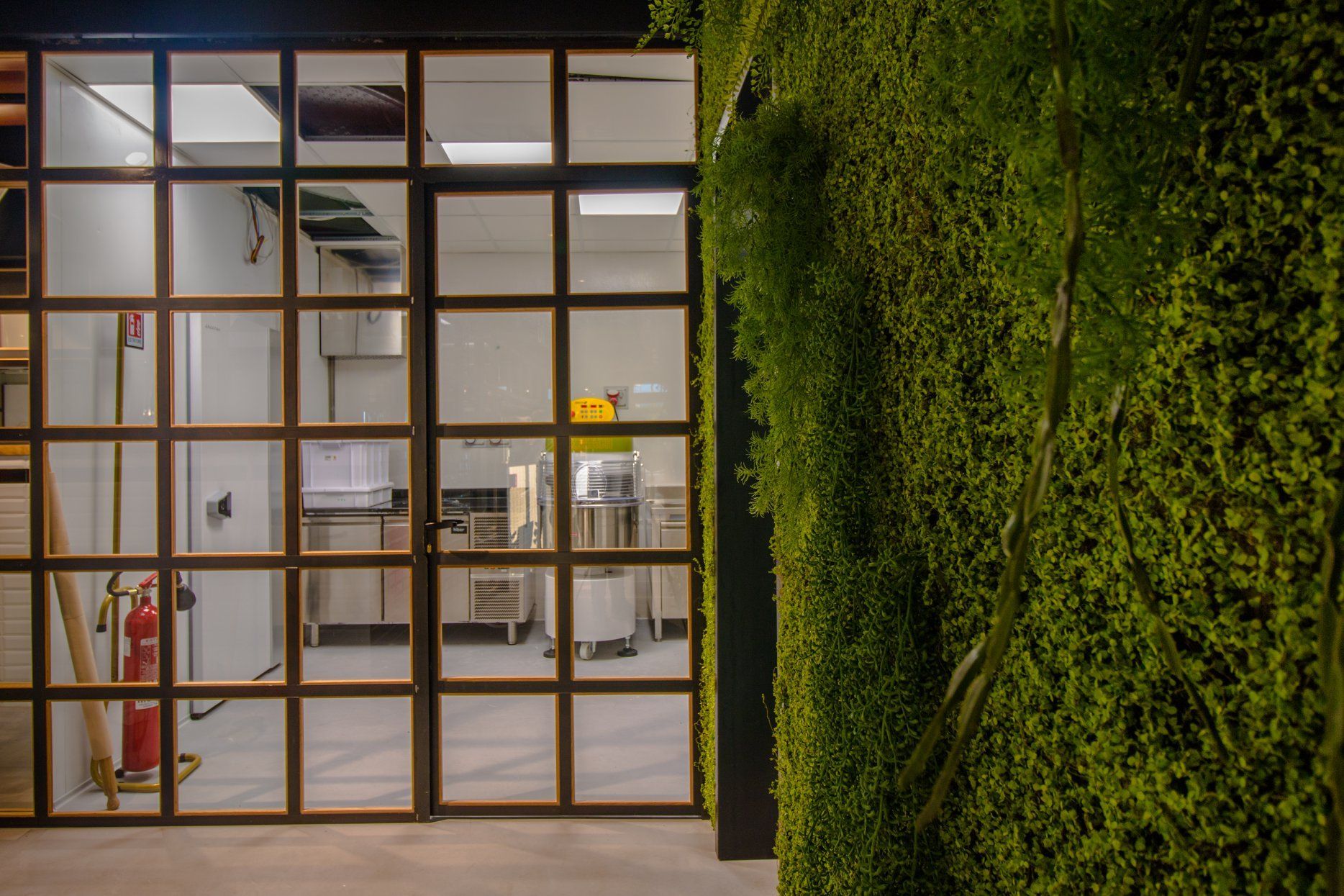 Porta con pannelli in vetro che dà su una cucina, accanto a una parete ricoperta di piante verdi.