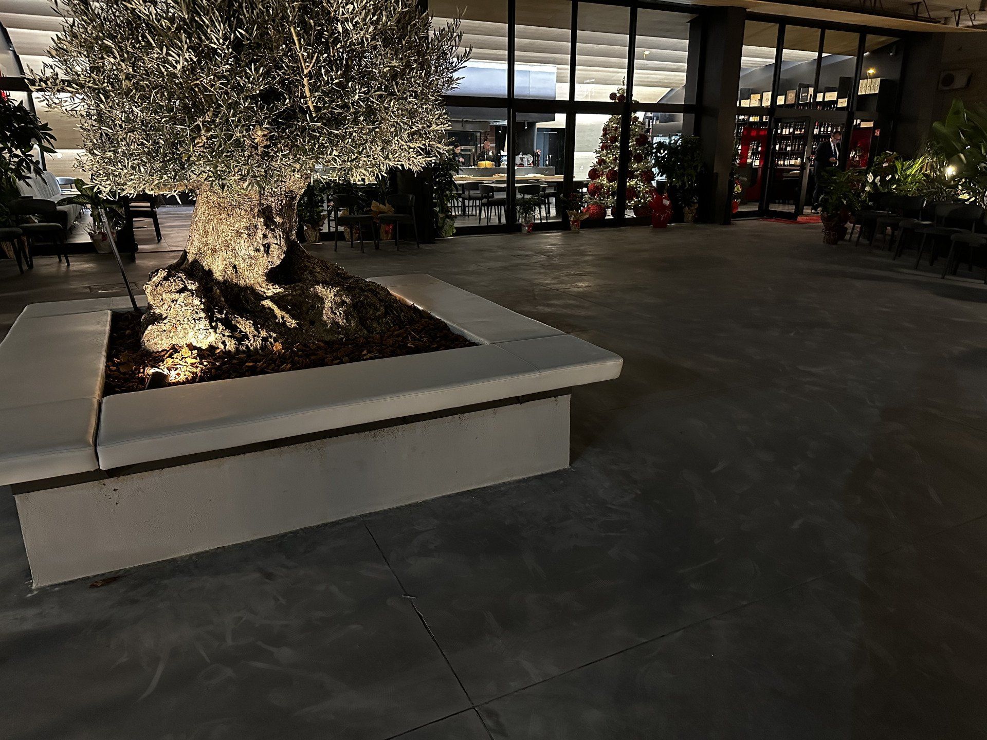 Un ulivo in una fioriera di cemento su un patio esterno di notte. Un ristorante sullo sfondo.