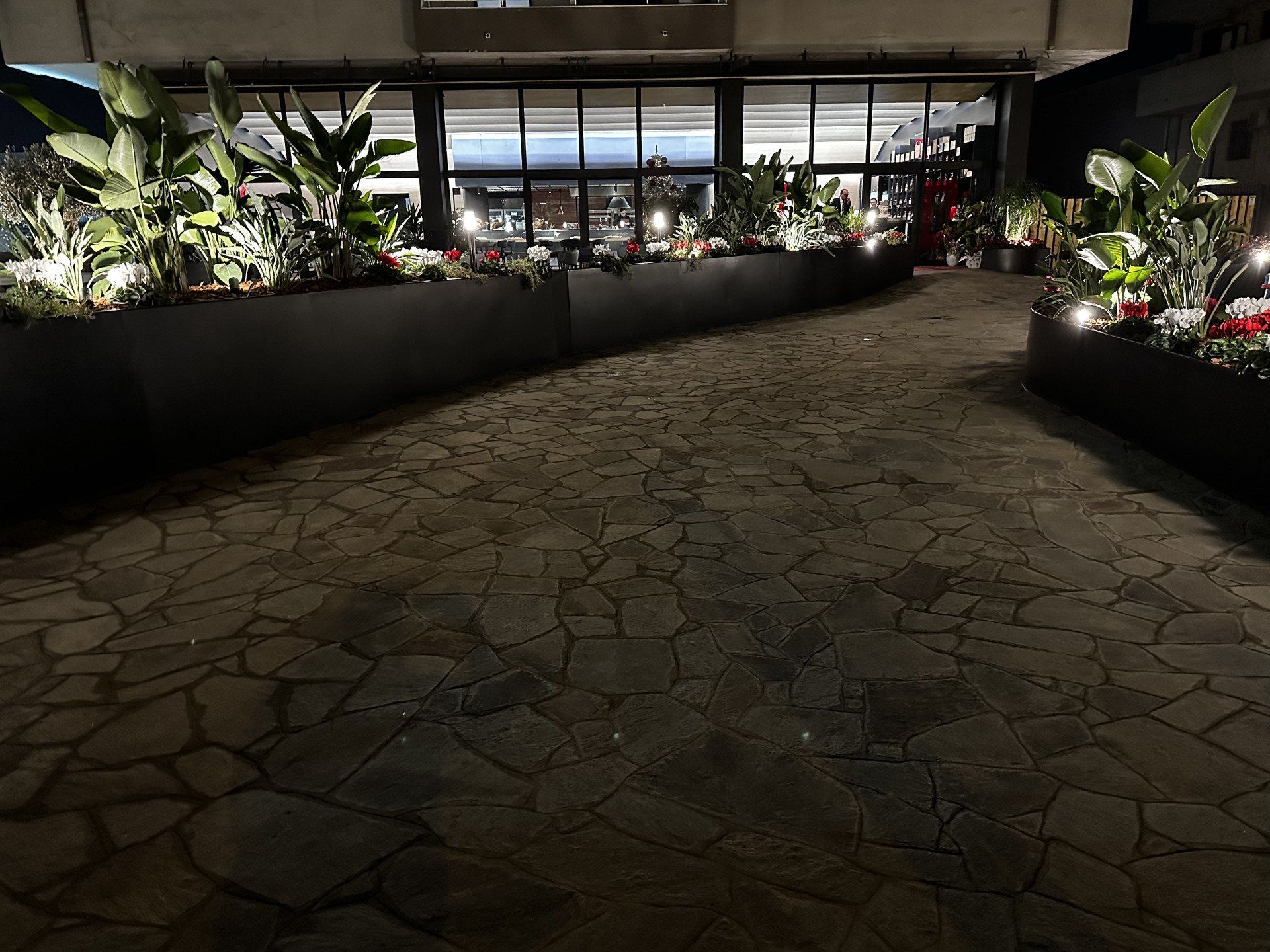 Vista notturna di un sentiero in pietra che conduce a un edificio con aiuole illuminate.