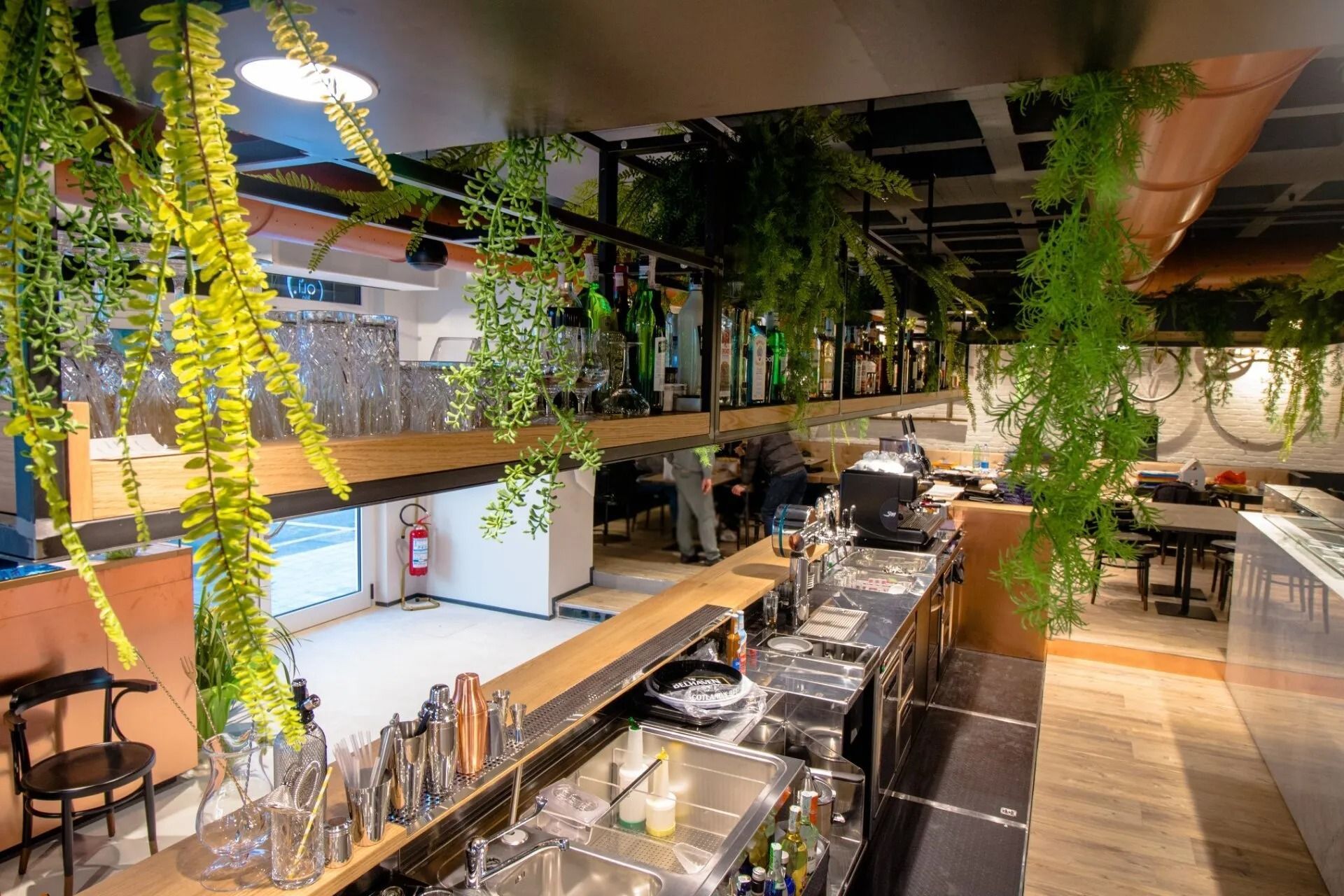 Interno di un bar disposto su due livelli, con vegetazione, bancone e posti a sedere.