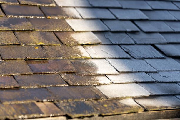 A close up of a roof being cleaned in Stoke-on-Trent by Home Rejuvenate.