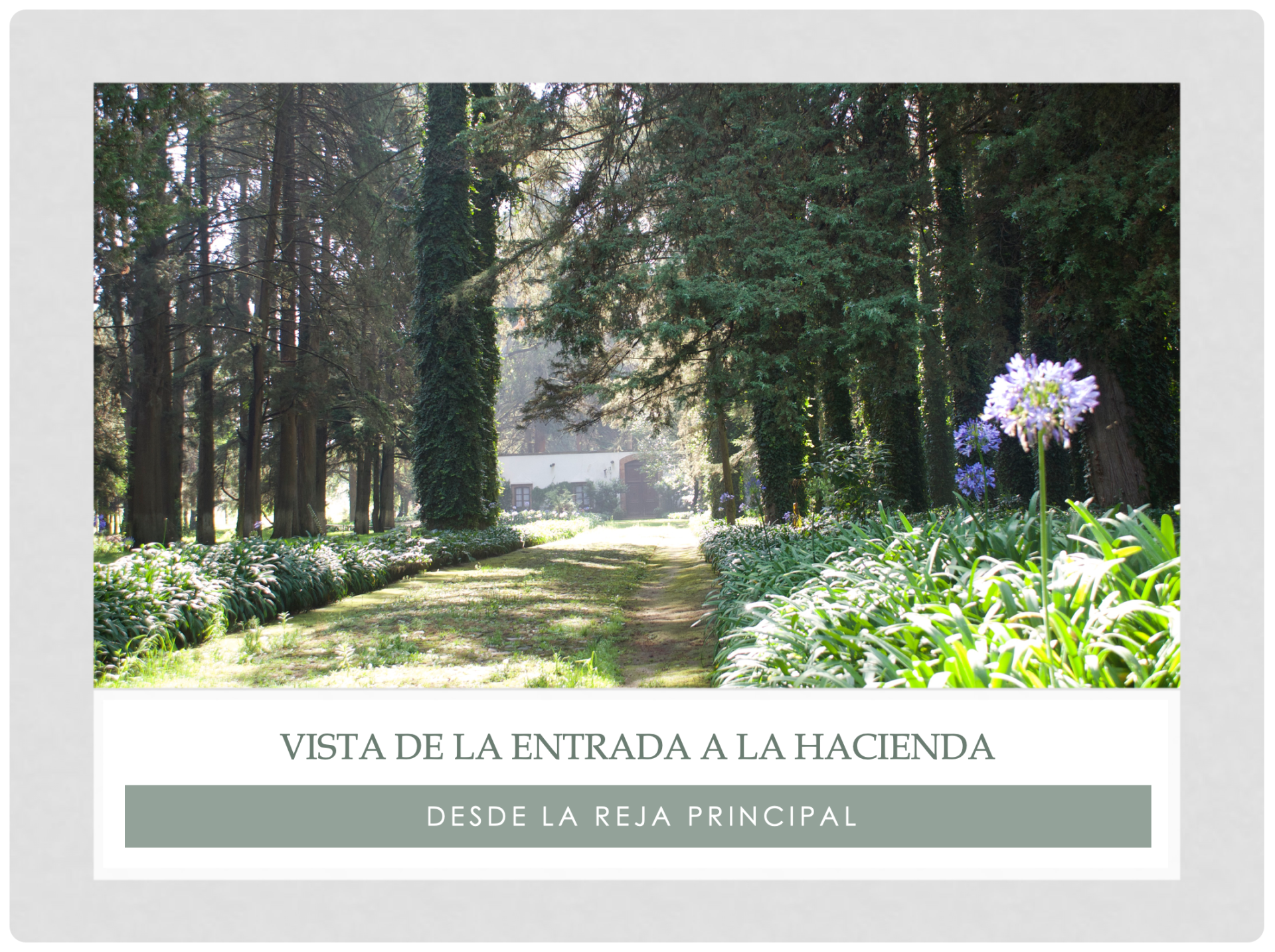 Rancho San Pablo, hacienda en venta, Santiago Tianguistenco, Edo Mex.