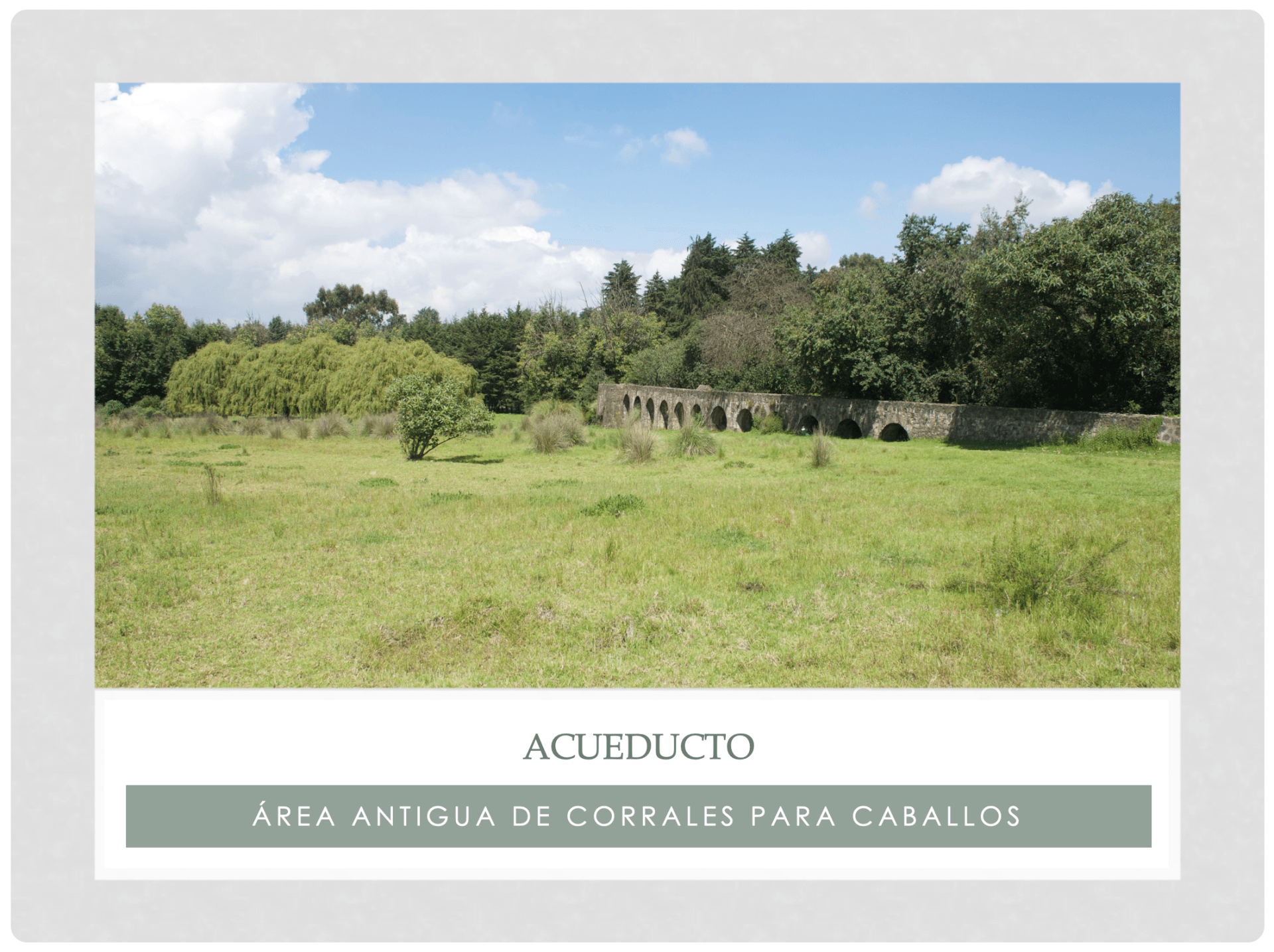 Rancho San Pablo, hacienda en venta, Santiago Tianguistenco, Edo Mex.