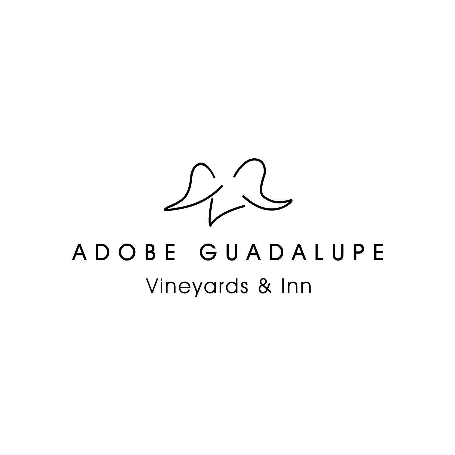 Adobe Guadalupe