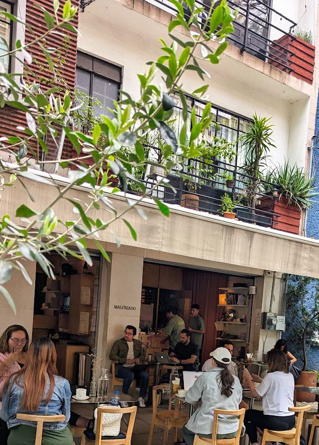 Malcriado Café/Wine Bar
