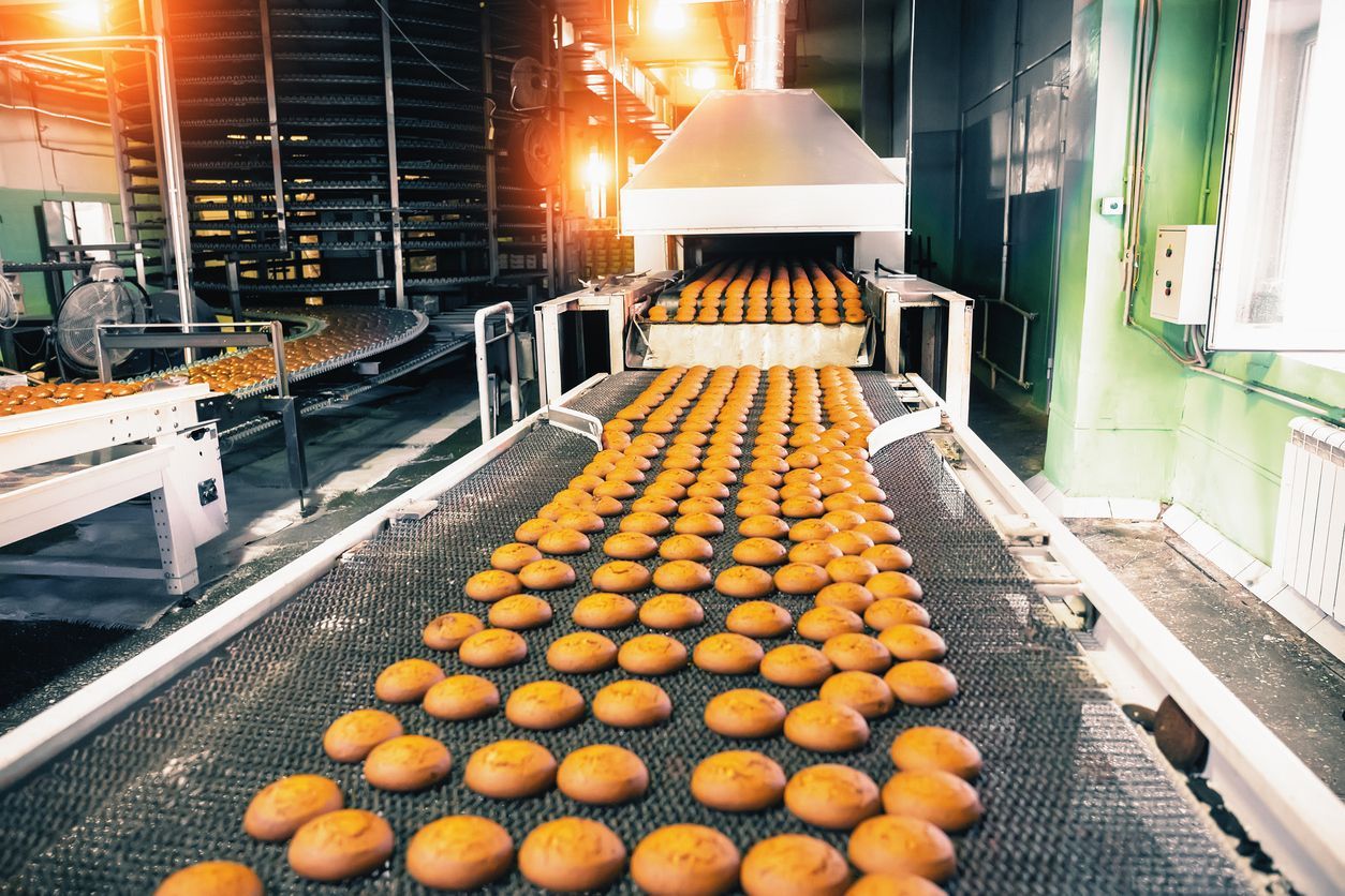 Cookies on a conveyor belt exiting an industrial oven in a factory.