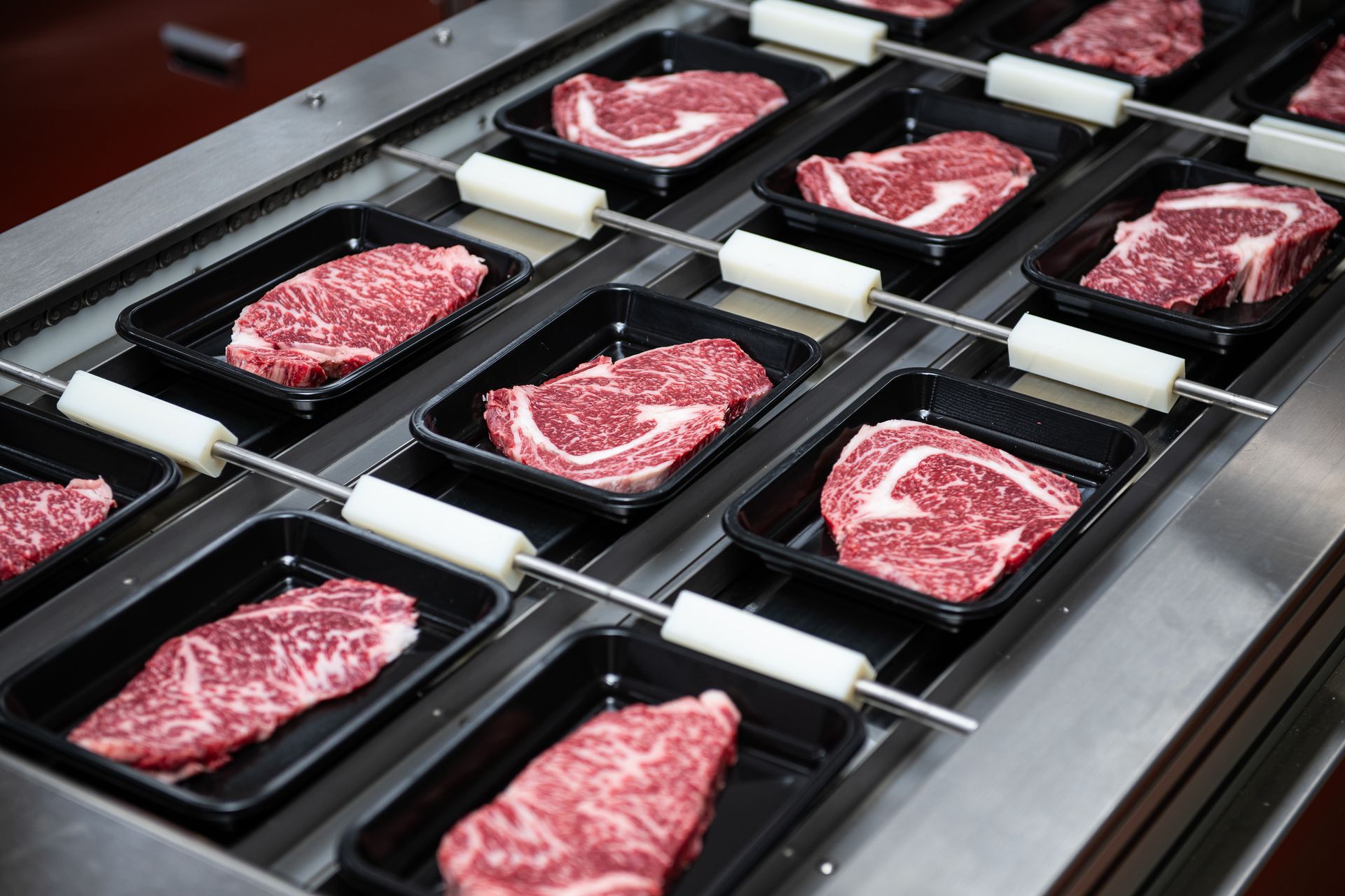 Ribeye steaks in black trays move along a conveyor belt in a processing plant.