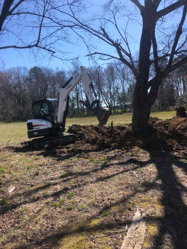 A small excavator digs soil around a tree in a sunny yard.