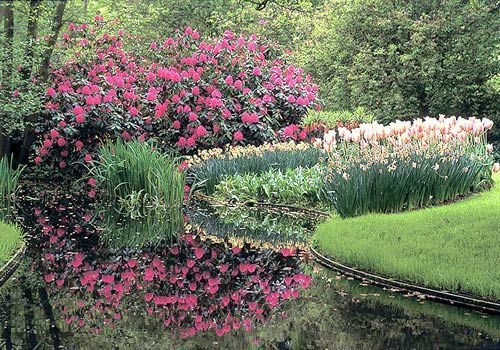 Flower Pond — Kilmarnock, VA — Booth Landscaping