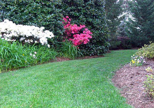 Empty Lawn — Kilmarnock, VA — Booth Landscaping