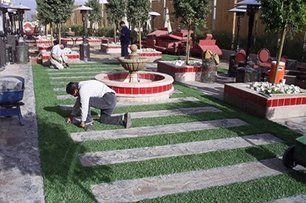 Turfs — Gardeners Fixing Lawns in Mesa, AZ