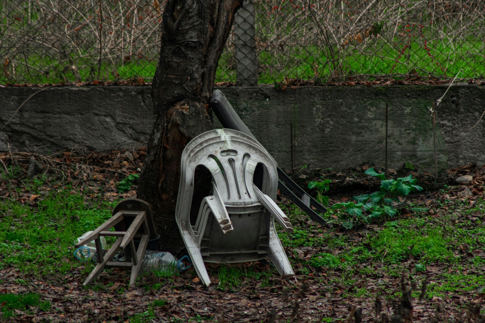 Plastic chair leaning against a tree in a grassy area with a low concrete wall in the background.